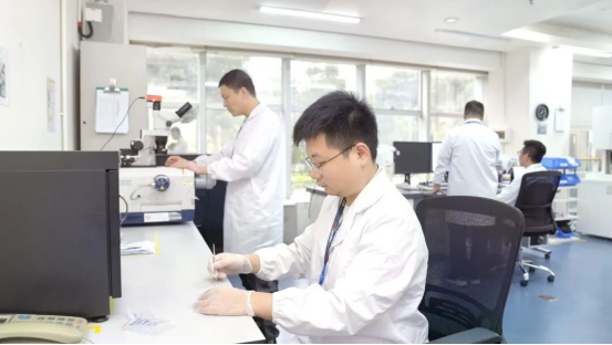 【黨建引領(lǐng)】凝心聚力沖刺收官，風(fēng)華高科以高質(zhì)量黨建引領(lǐng)高質(zhì)量發(fā)展