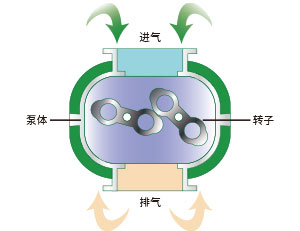 螺桿轉(zhuǎn)子